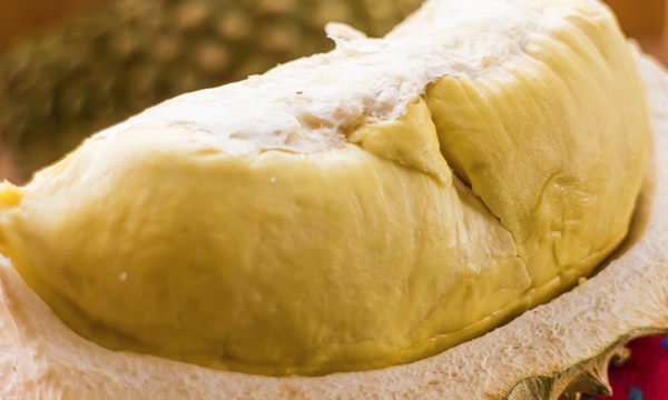 5 à¸à¹à¸­à¸à¸§à¸£à¸£à¸¹à¹à¸à¹à¸­à¸à¸à¸²à¸ âà¸à¸¸à¹à¸£à¸µà¸¢à¸â à¸à¸²à¸à¹à¸¡à¹à¸£à¸°à¸§à¸±à¸à¹à¸ªà¸µà¹à¸¢à¸à¹à¸ªà¸µà¸¢à¸à¸µà¸§à¸´à¸